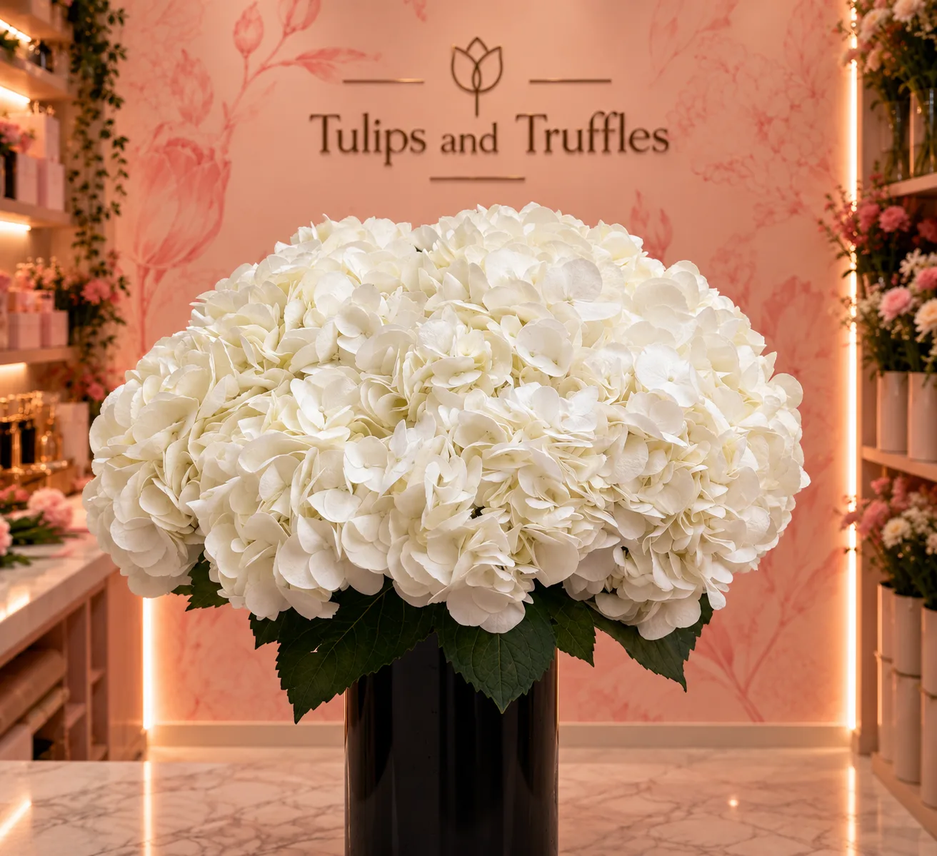 White Hydrangeas, Black Vase